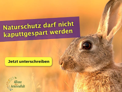 Website Nachtfaltermonitoring Baden-Württemberg