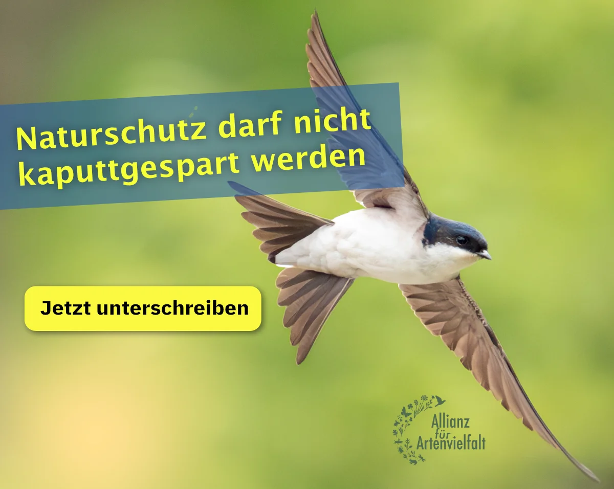 Website Nachtfalter-Monitoring