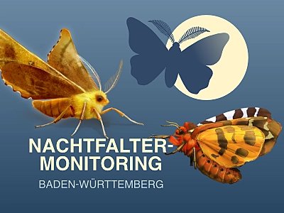 Nachtfalter-Monitoring