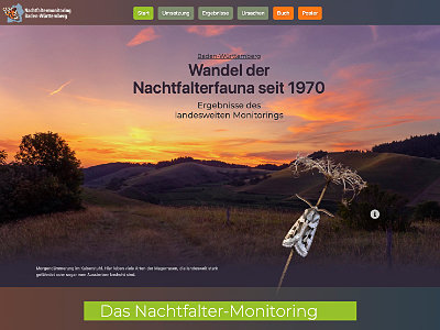 Website Nachtfaltermonitoring Baden-Württemberg
